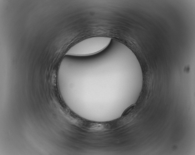 X0000111780083200907230959
