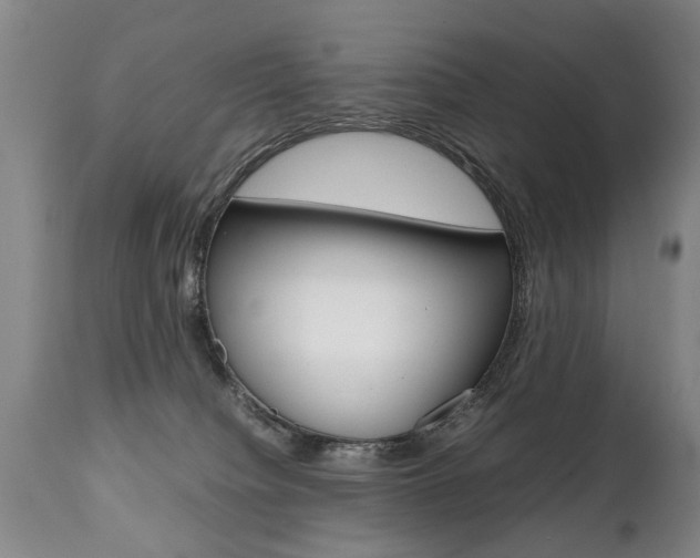 X0000111780084200907230959