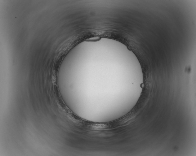 X0000111780085200907230959