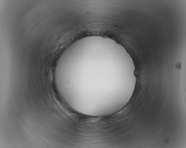 X0000111780086200907230959