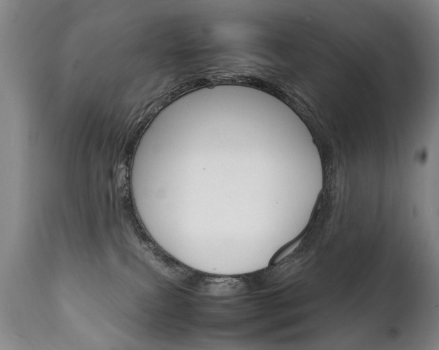 X0000111780087200907230959