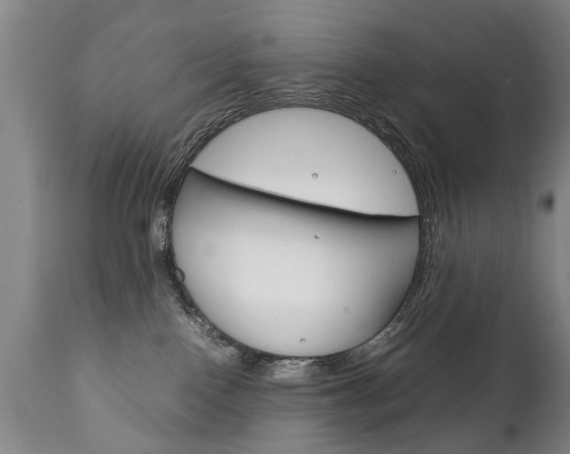 X0000111780090200907230959