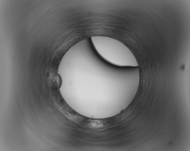X0000111780091200907230959