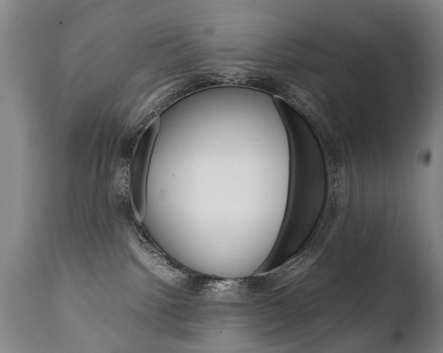 X0000111780092200907230959
