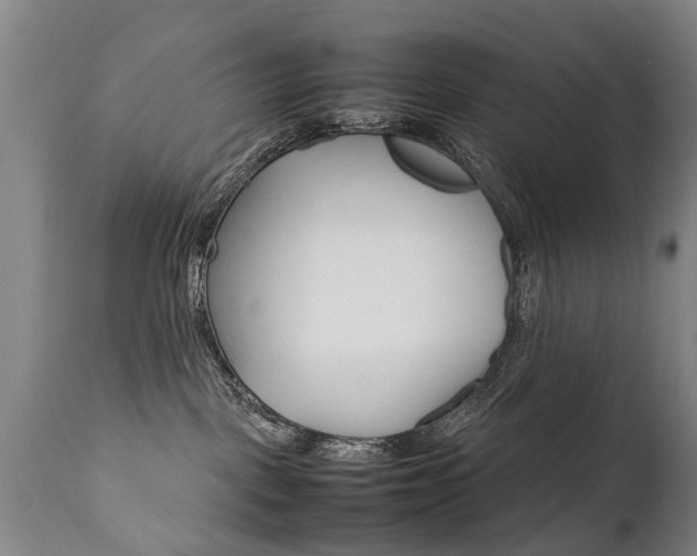 X0000111780093200907230959