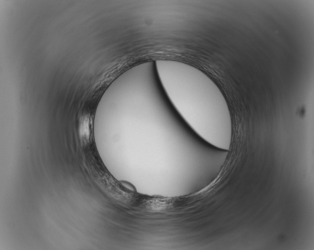X0000111780094200907230959