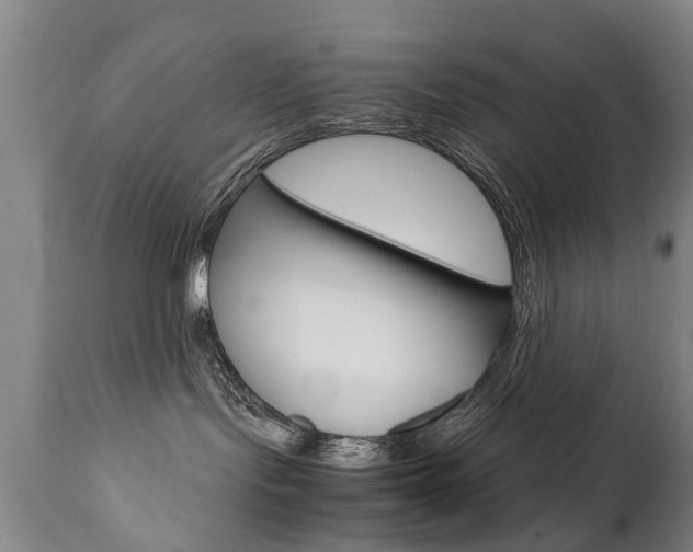 X0000111780095200907230959