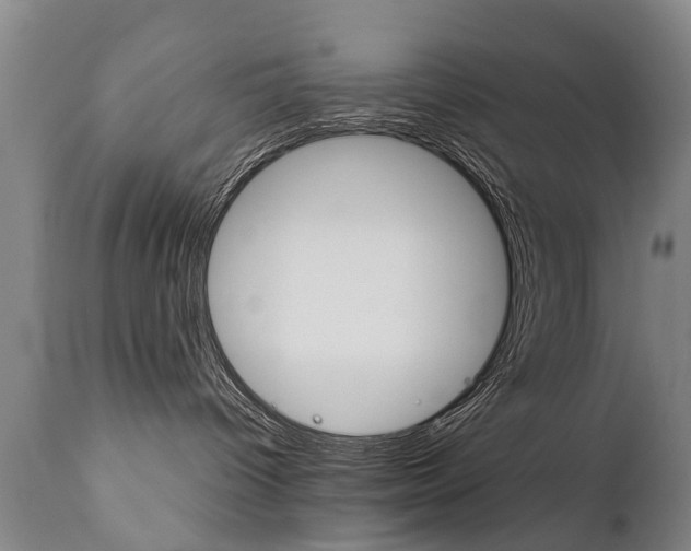 X0000111780096200907230959
