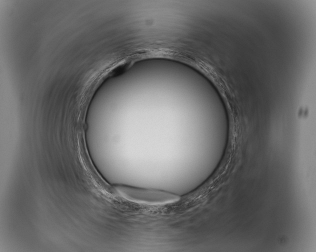 X0000111780097200907230958