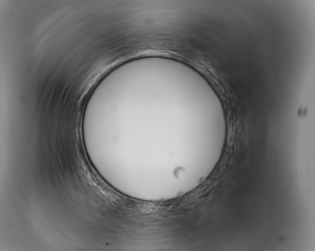 X0000111780098200907230958