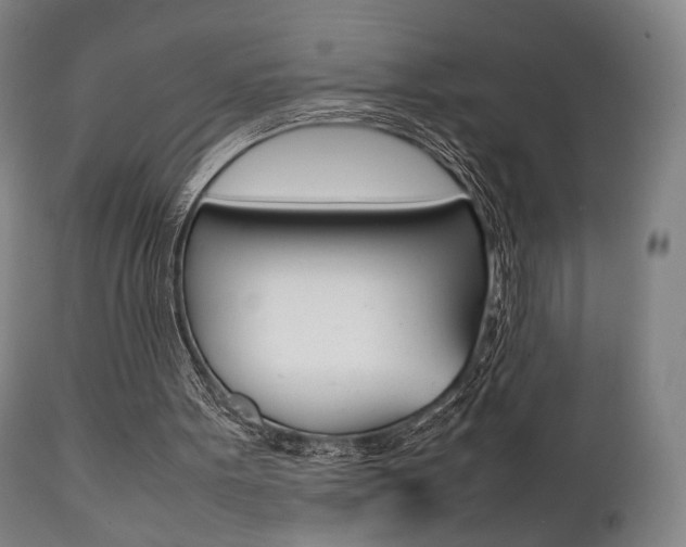 X0000111780099200907230958
