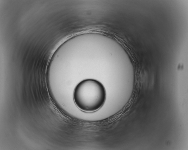 X0000111780100200907230958