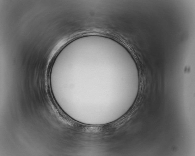 X0000111780102200907230958
