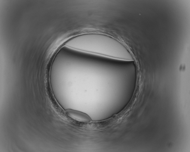 X0000111780103200907230958