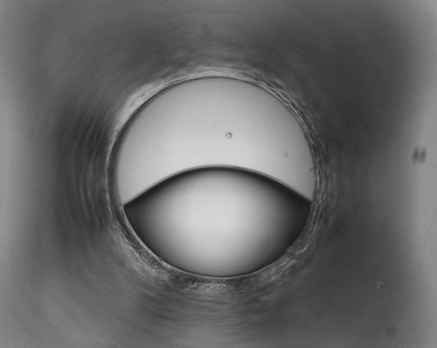 X0000111780104200907230958