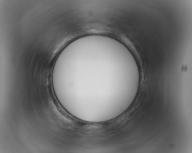 X0000111780106200907230958