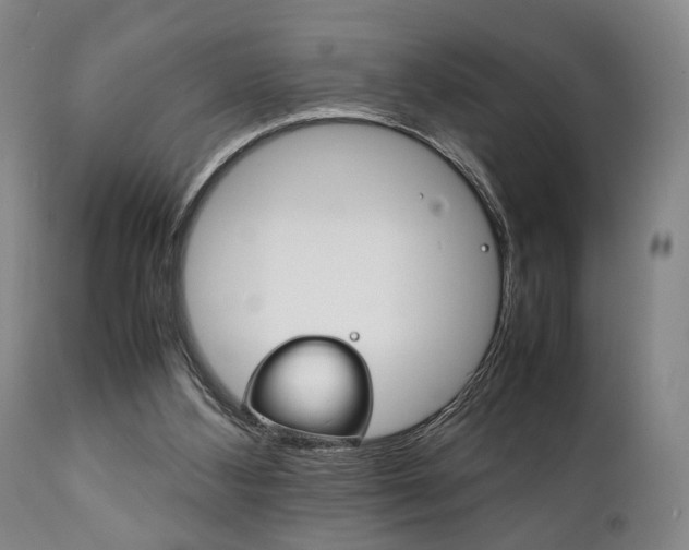 X0000111780108200907230958