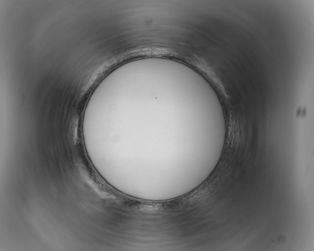 X0000111780110200907230958