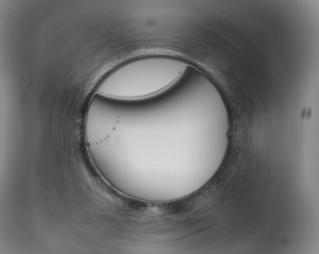 X0000111780111200907230958