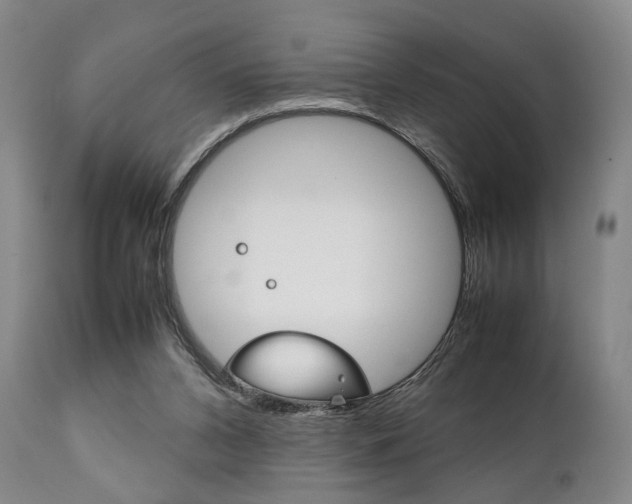 X0000111780112200907230958