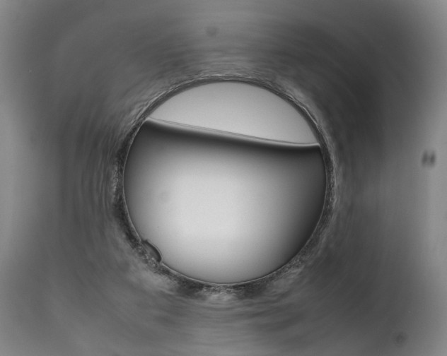X0000111780113200907230958