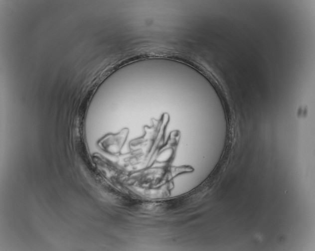X0000111780117200907230958
