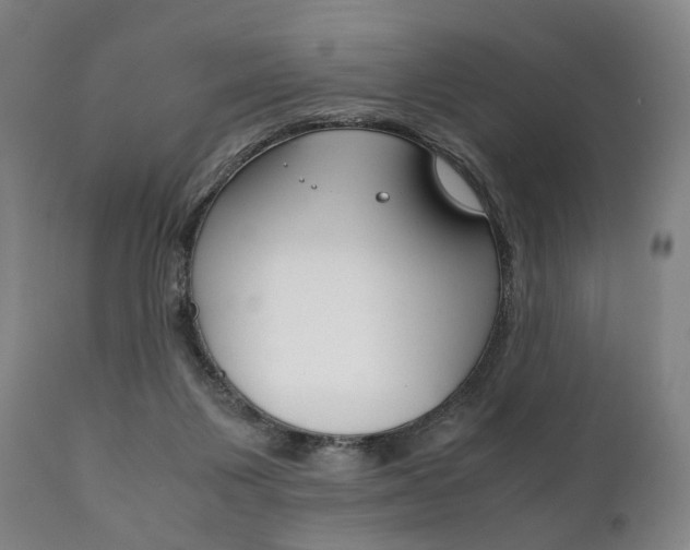 X0000111780119200907230958