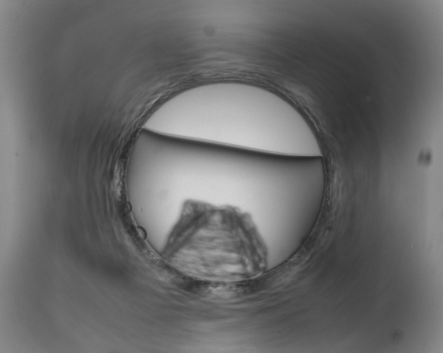 X0000111780121200907230958