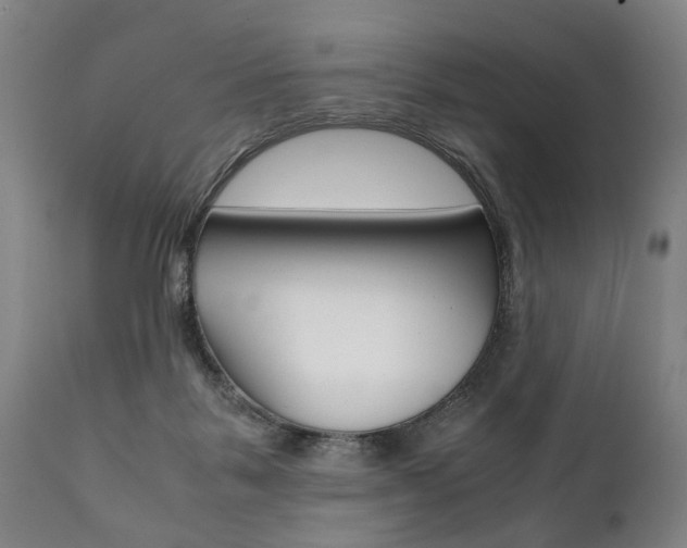 X0000111780123200907230958