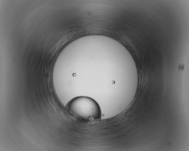 X0000111780124200907230958