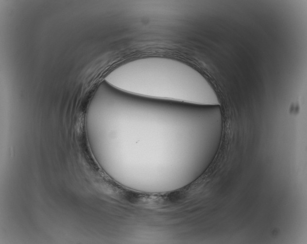 X0000111780125200907230958