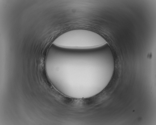 X0000111780127200907230958