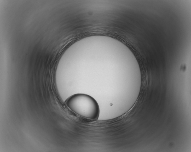 X0000111780128200907230958