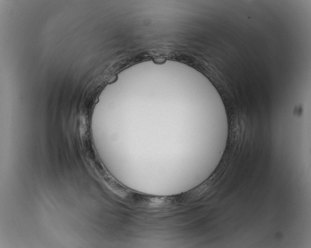 X0000111780130200907230958