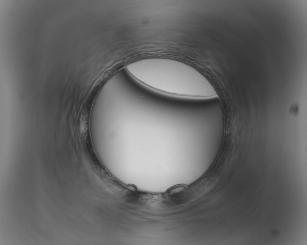 X0000111780131200907230958