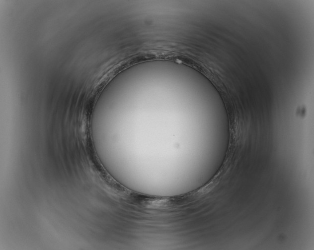 X0000111780132200907230958