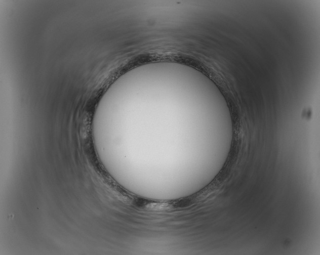 X0000111780133200907230958