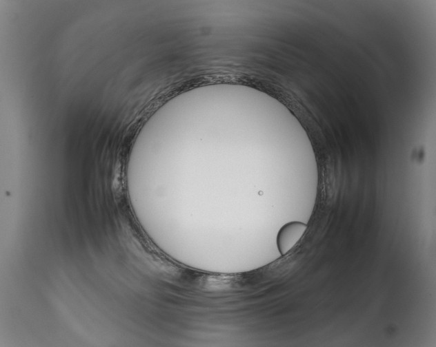 X0000111780134200907230958