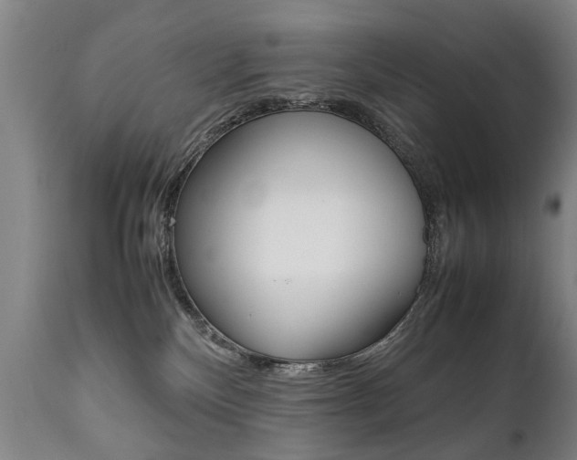 X0000111780136200907230958