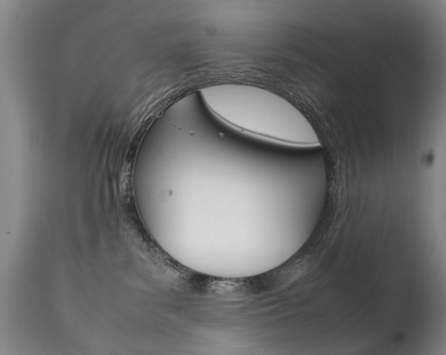 X0000111780139200907230958