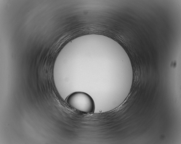 X0000111780140200907230958