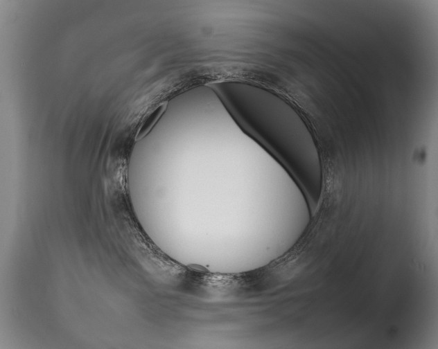 X0000111780141200907230957