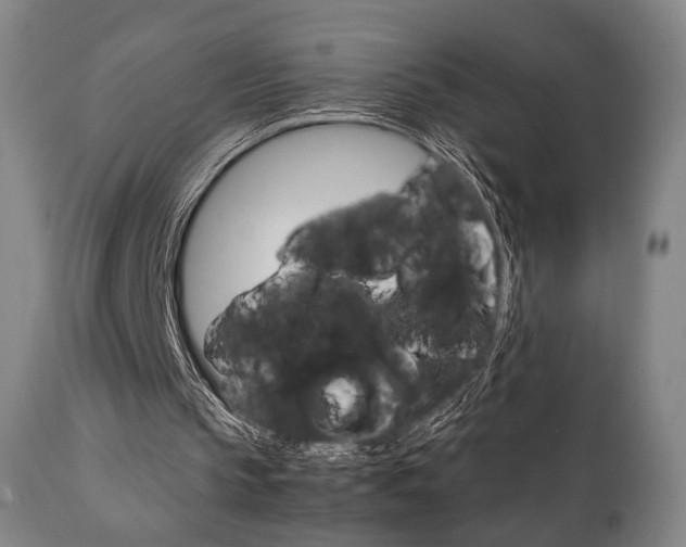 X0000111780145200907230957