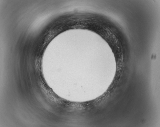 X0000111780146200907230957