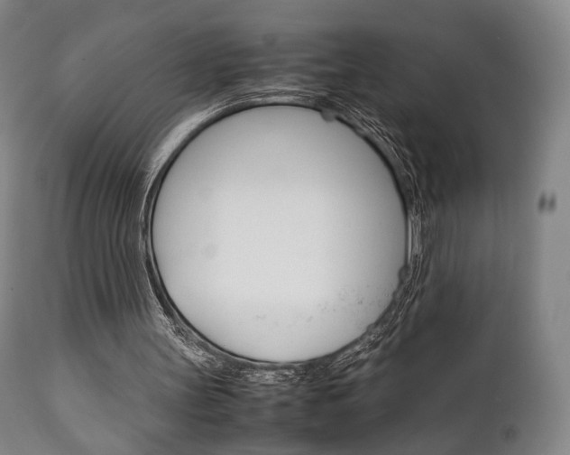 X0000111780147200907230957