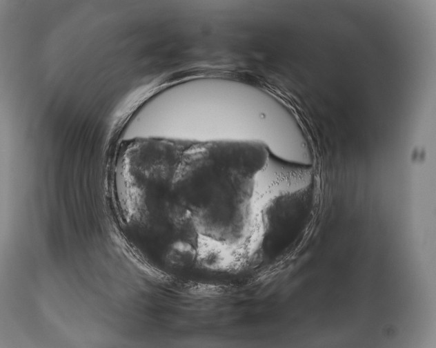 X0000111780149200907230957