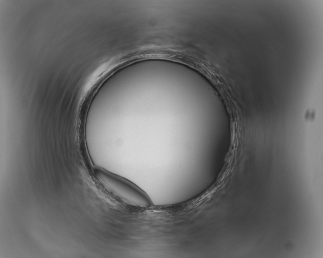 X0000111780150200907230957
