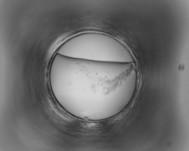 X0000111780151200907230957