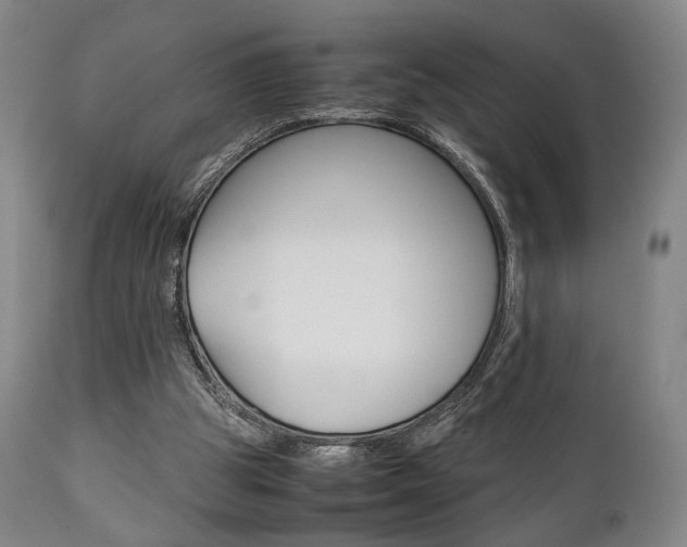 X0000111780153200907230957