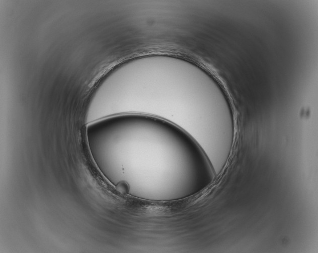 X0000111780154200907230957